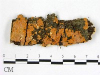 登錄號:F0012111藏品圖，第1張