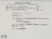 登錄號:F0012113藏品圖，第2張