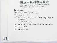 盤革菌屬藏品圖，第2張