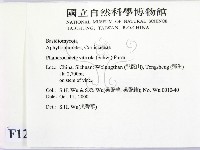 登錄號:F0012116藏品圖，第2張