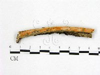 登錄號:F0012116藏品圖，第1張