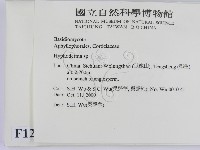 絲皮菌屬藏品圖，第2張