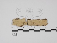 登錄號:F0012118藏品圖，第1張