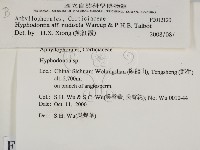 登錄號:F0012120藏品圖，第2張