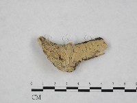 登錄號:F0012120藏品圖，第1張