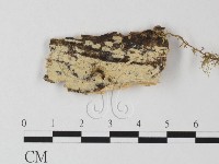 登錄號:F0012121藏品圖，第1張