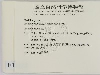 刺革菌屬藏品圖，第2張