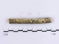 登錄號:F0012123藏品圖，第4張