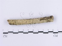 登錄號:F0012123藏品圖，第5張