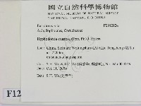 登錄號:F0012124藏品圖，第2張