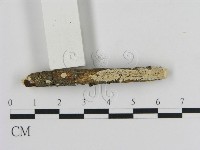 登錄號:F0012124藏品圖，第1張