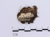 登錄號:F0012126藏品圖，第3張