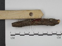 登錄號:F0012127藏品圖，第3張