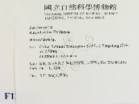刺皮菌屬藏品圖，第2張