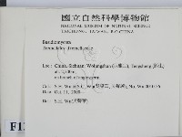 登錄號:F0012130藏品圖，第2張