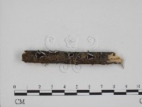 登錄號:F0012130藏品圖，第1張