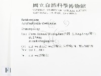 登錄號:F0012132藏品圖，第2張