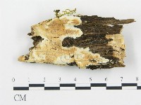 登錄號:F0012132藏品圖，第1張