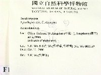 盤革菌屬藏品圖，第2張