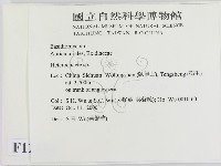 刺皮菌屬藏品圖，第2張