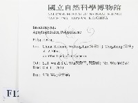 多孔菌屬藏品圖，第2張