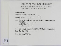 絲皮菌屬藏品圖，第2張