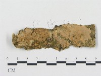 登錄號:F0012139藏品圖，第1張