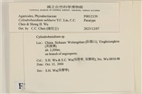 登錄號:F0012139藏品圖，第3張