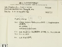 登錄號:F0012141藏品圖，第2張