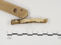 登錄號:F0012141藏品圖，第1張