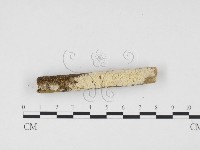 登錄號:F0012141藏品圖，第3張