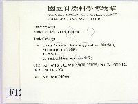 木耳屬藏品圖，第2張