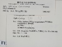 絲皮菌屬藏品圖，第2張