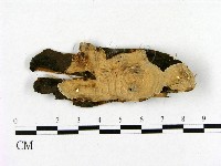 登錄號:F0012149藏品圖，第1張