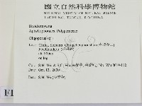 寡孔菌屬藏品圖，第2張