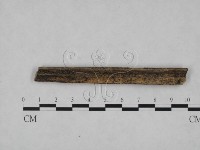 登錄號:F0012152藏品圖，第1張