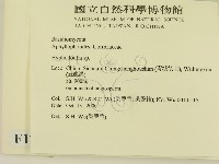 登錄號:F0012154藏品圖，第2張