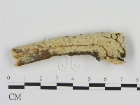 登錄號:F0012154藏品圖，第1張