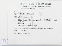 裂褶菌藏品圖，第2張