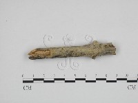 登錄號:F0012158藏品圖，第1張