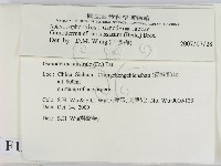 登錄號:F0012161藏品圖，第2張