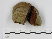 登錄號:F0012161藏品圖，第1張