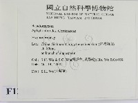絲皮菌屬藏品圖，第2張