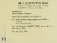 登錄號:F0012163藏品圖，第2張
