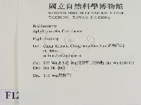 絲皮菌屬藏品圖，第2張