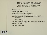 登錄號:F0012165藏品圖，第2張