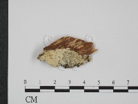 登錄號:F0012165藏品圖，第1張