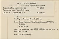 登錄號:F0012165藏品圖，第3張