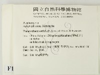 登錄號:F0012166藏品圖，第2張