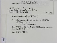 登錄號:F0012169藏品圖，第2張